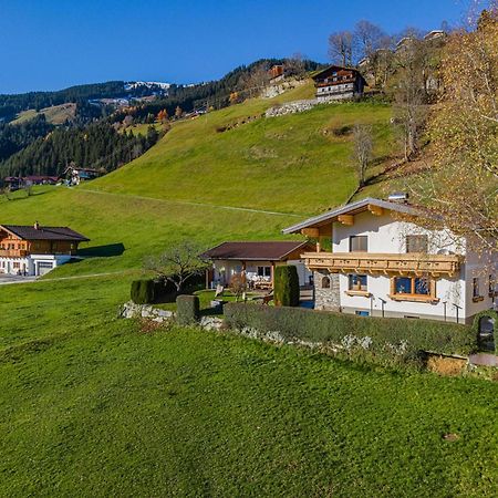 Gipfelblick Apartment Hollersbach im Pinzgau Ngoại thất bức ảnh